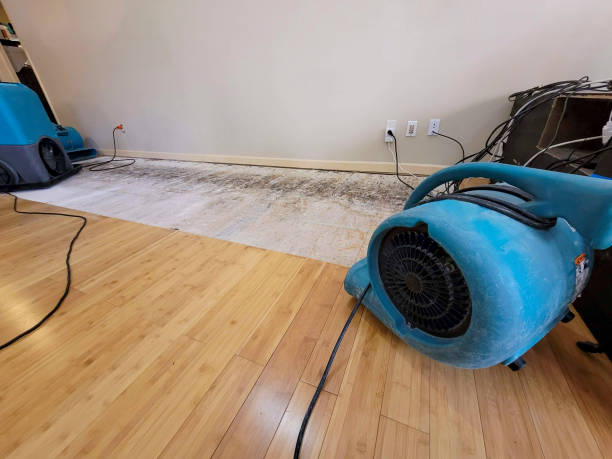 Professional Sewage Cleanup technician working in Medway, ME